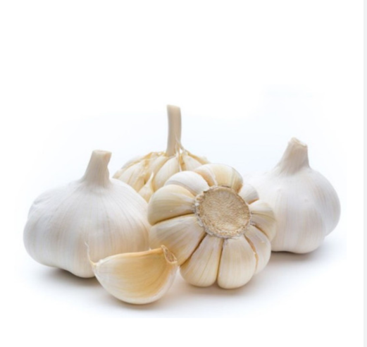Bawang Putih